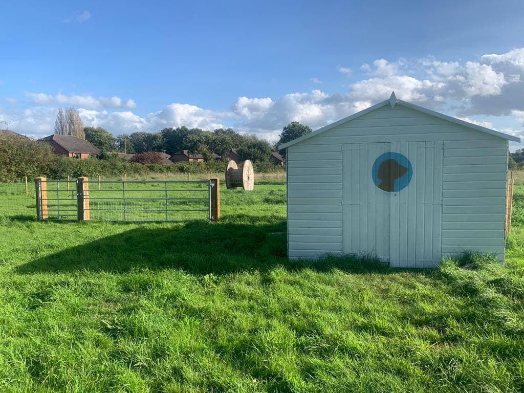 Open play paddock