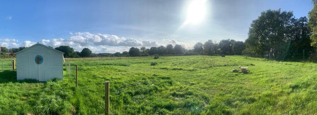 Bowdon Dog Park paddock view