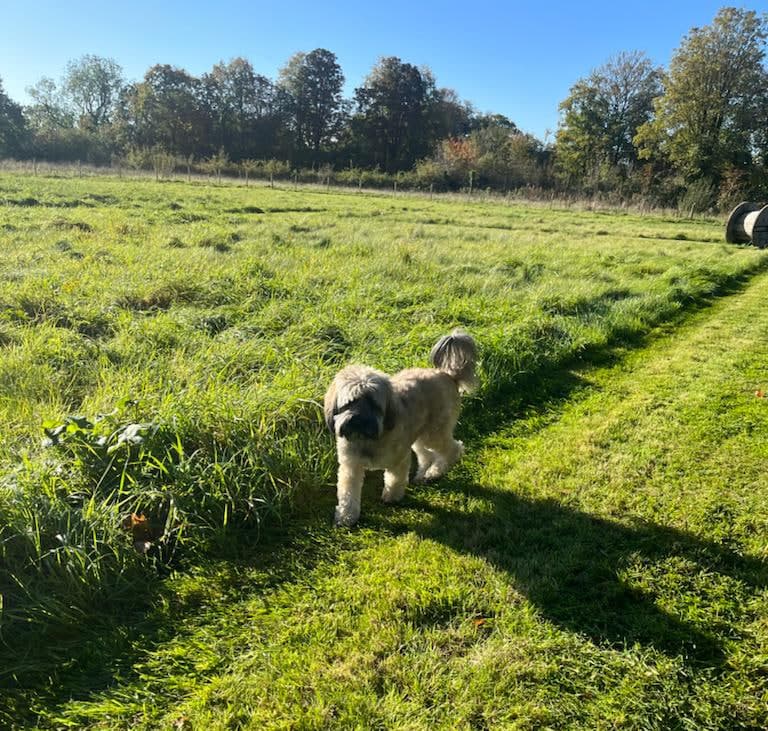 Louise and Cooper